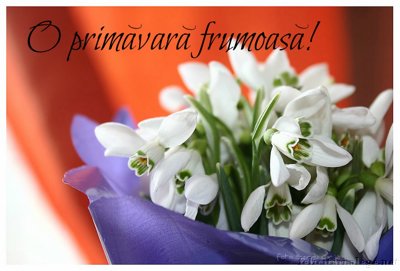 O Primavara Frumoasa!